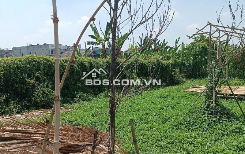 Đất ô tô thông, gần trường Tiểu Học Bình Mỹ, 10x12m, 520tr